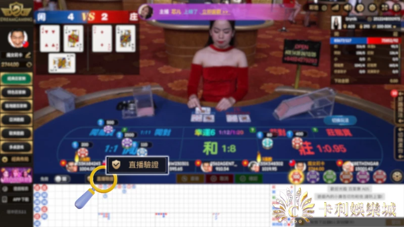 DG百家樂驗證功能示意圖