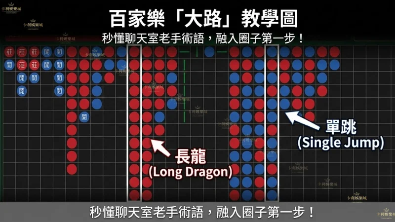 百家樂路單教學圖解,標示大路、珠盤路以及長龍與單跳趨勢規律